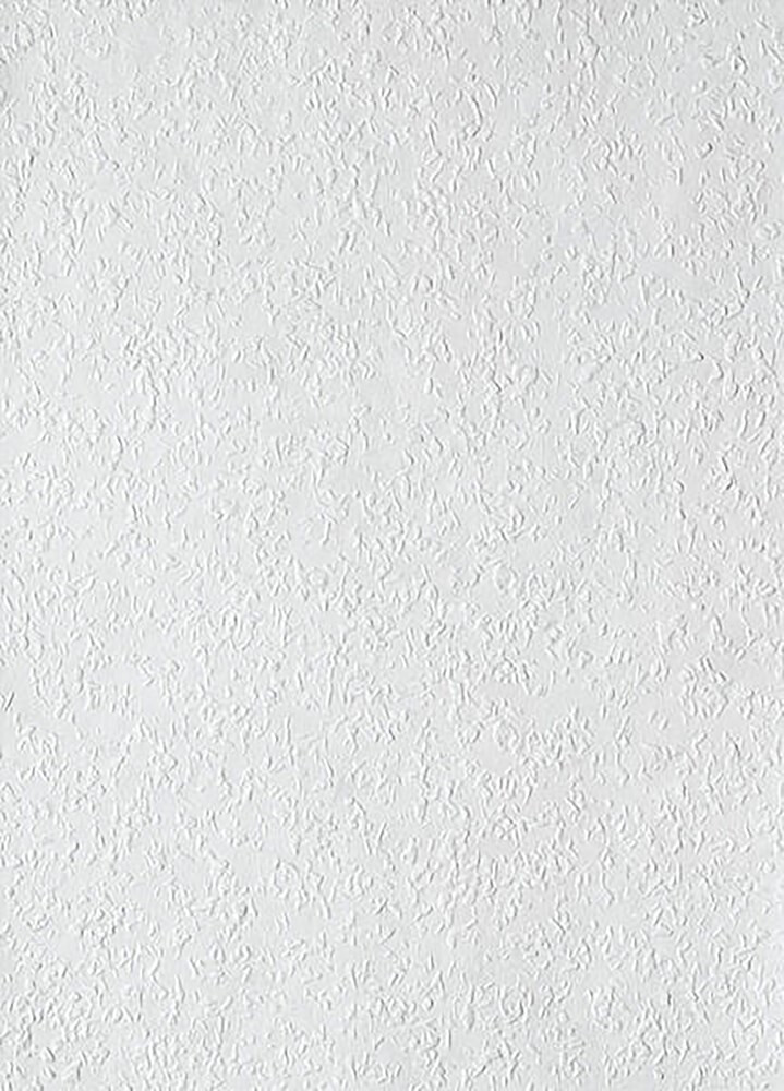 RAUHFASERBEH.SPRINT 1000 33MX53CM fijn
