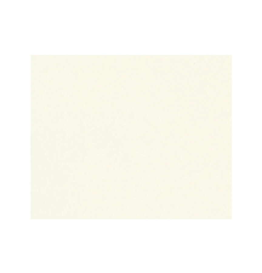 STOOPEN & MEEUS PIGMENT MP101  12 GRAM IVORY