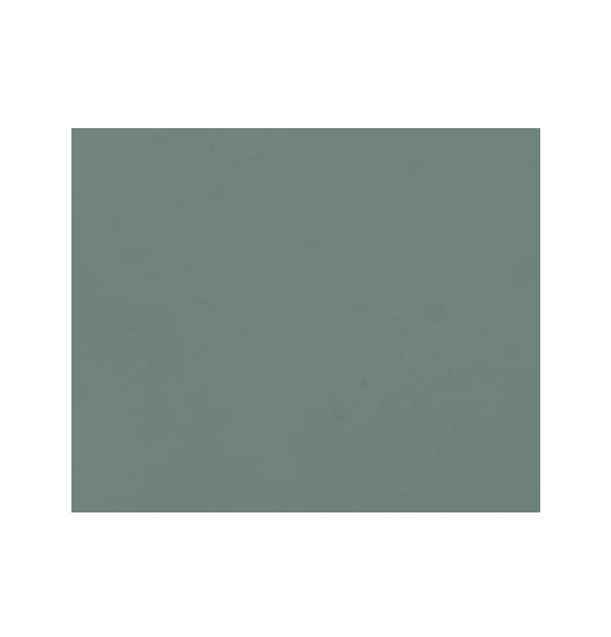 STOOPEN & MEEUS PIGMENT MP207   400 GRAM NAUTILUS