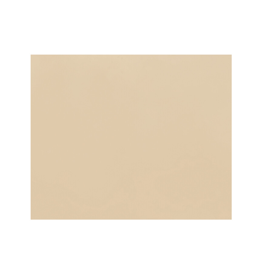 STOOPEN & MEEUS PIGMENT MP229   400 GRAM SIENNA