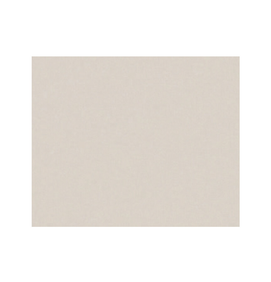 STOOPEN & MEEUS PIGMENT MP258   400 GRAM MUSHROOM