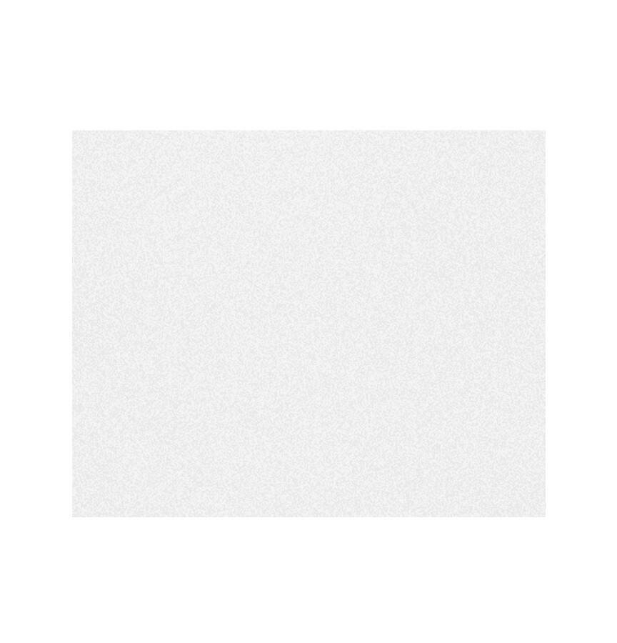 STOOPEN & MEEUS PIGMENT MP204  400 GRAM COTTON