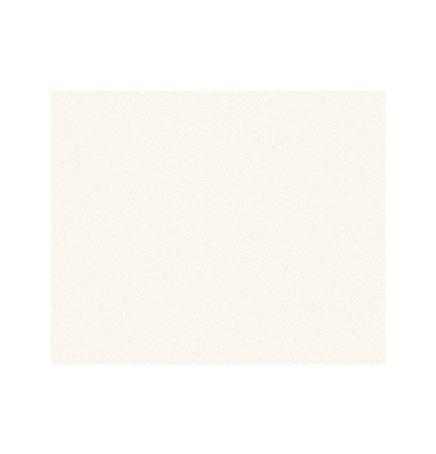 STOOPEN & MEEUS PIGMENT MP250  400 GRAM PEARL